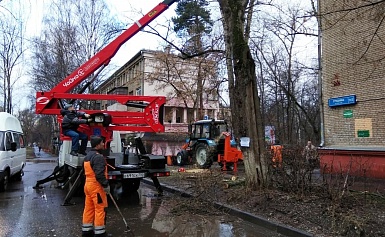 Мониторинг работы городской службы по опиловке деревьев по адресу  ул.Грабина д.№11/2