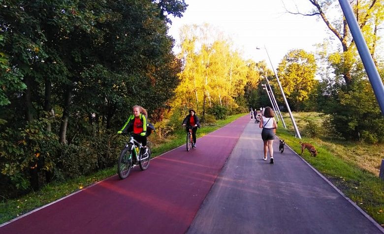 Общественный контроль завершающего этапа благоустройства одного из основных участков велопешеходной сети в строворе от железной дороги до выхода на Болшеское шоссе