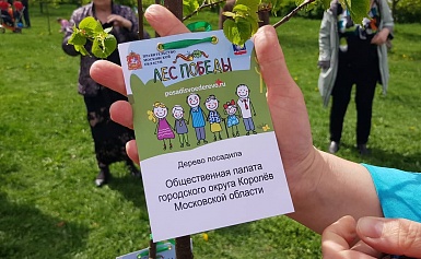 Общественная палата г.о.Королев приняла участие в акции "Лес Победы"